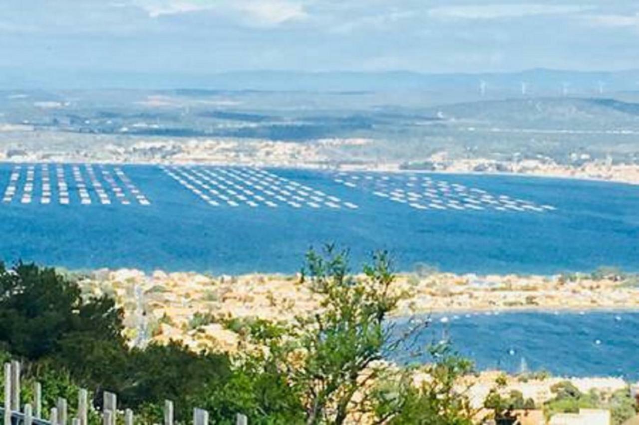 Magnifique T2 Neuf Top Emplacement ! Sète Eksteriør billede